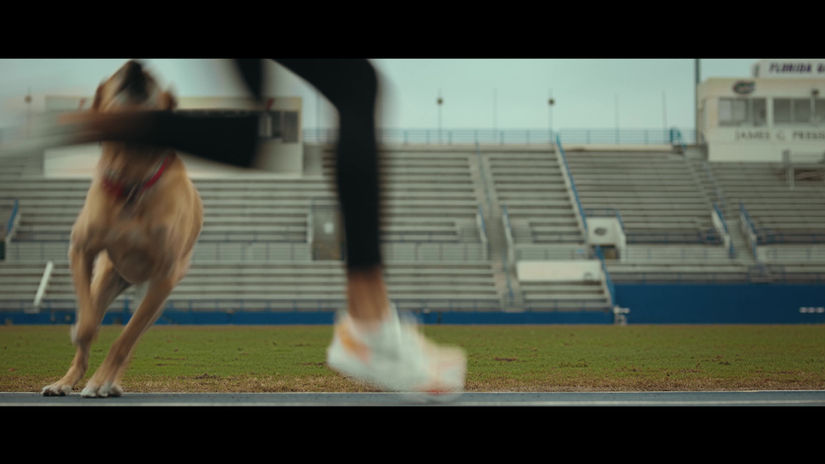 Nulo - Olympic Athletes